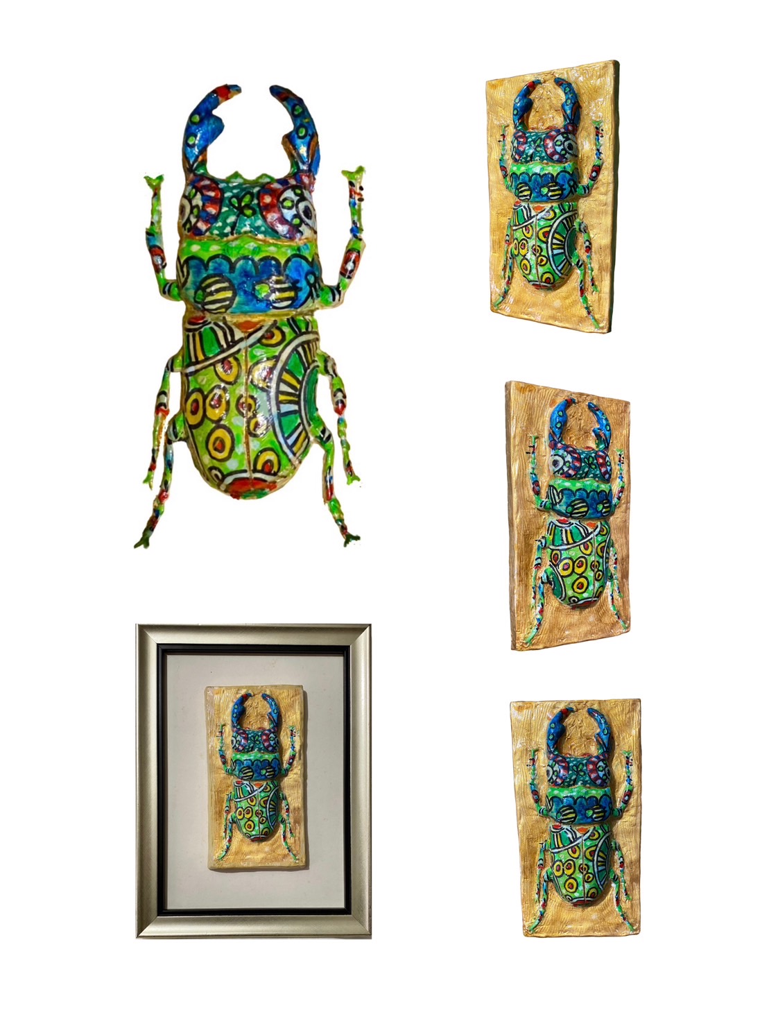 img-Florid Beetle 1st