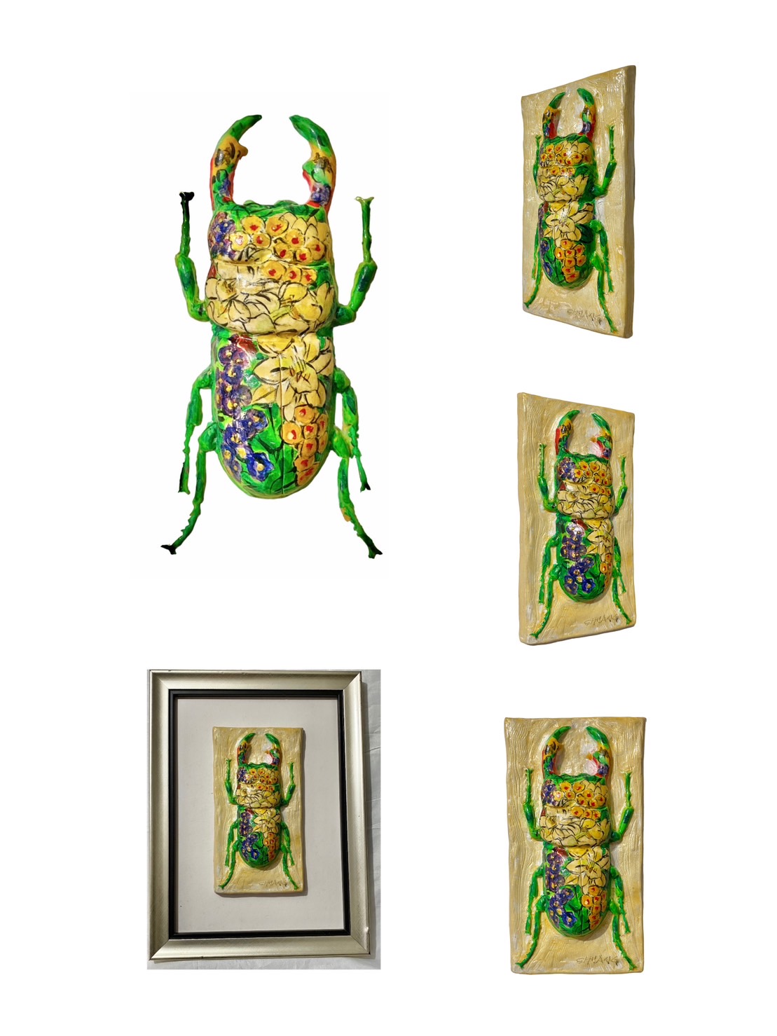 img-Florid Beetle 2nd